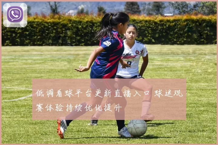 低调看球平台更新直播入口 球迷观赛体验持续优化提升